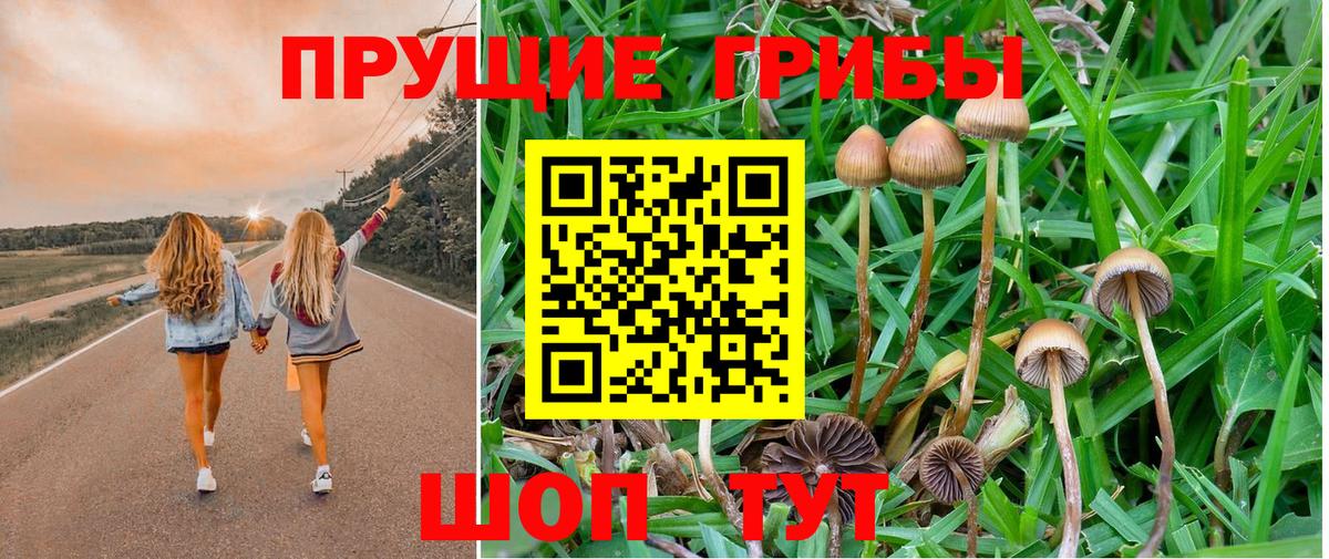 Галлюциногенные грибы мицелий Кунгур